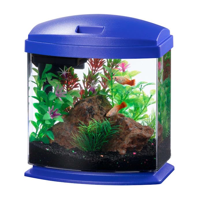 Aquarium Kit Q51851