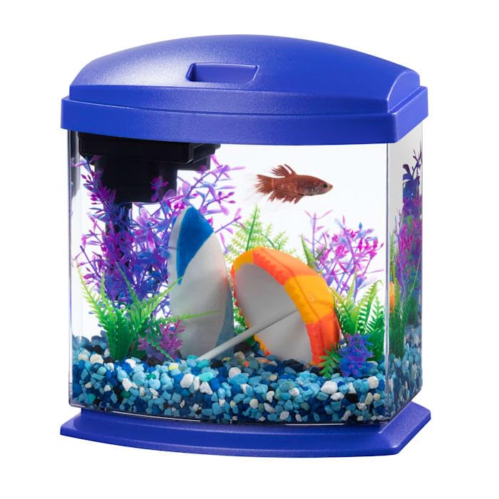 Aquarium Kit Q51851
