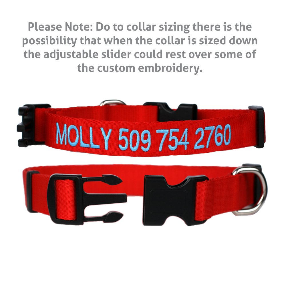Personalized Dog Collar with Pet Name and Phone Number J1768