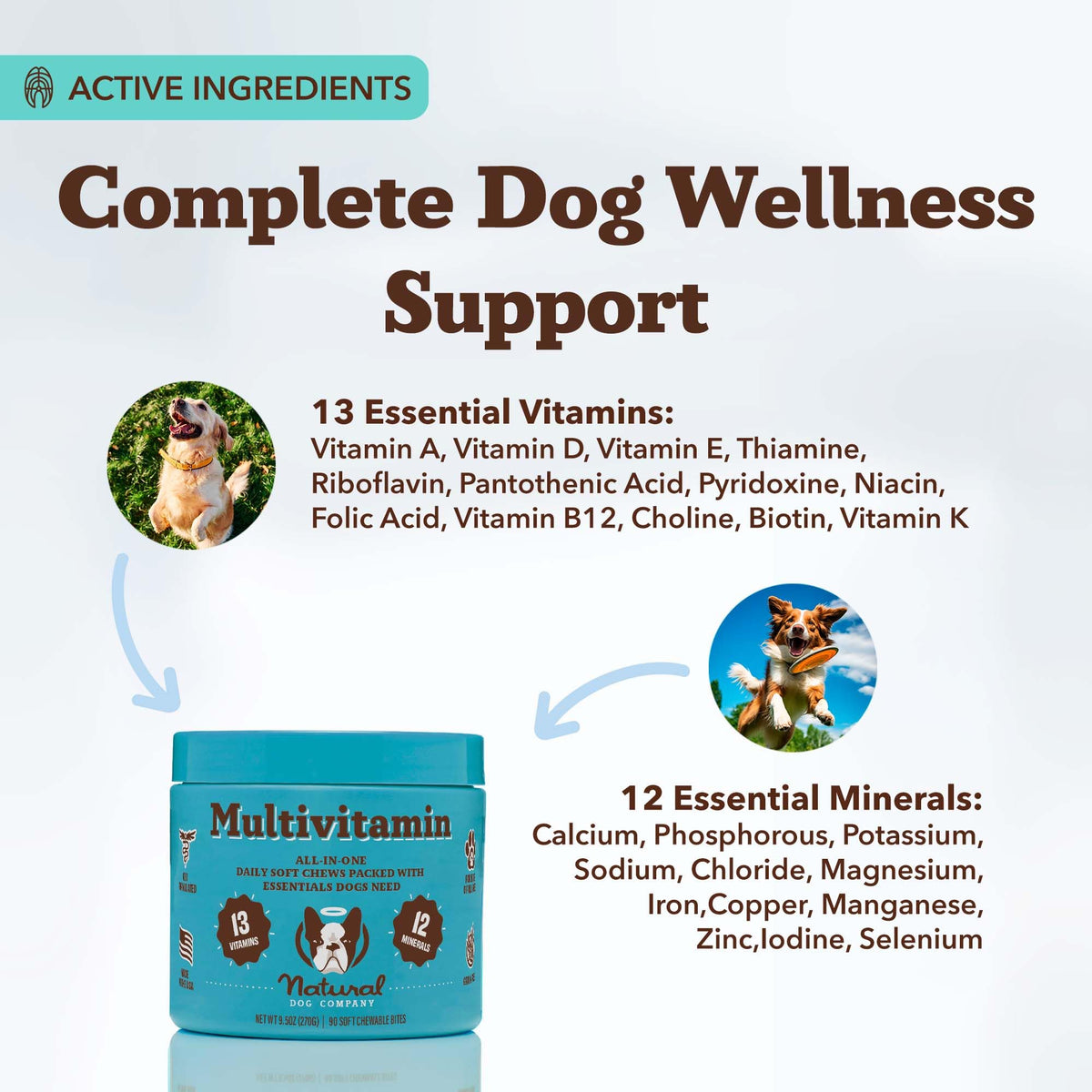 25-in-1 Multivitamin for Dogs 180 Count X11051