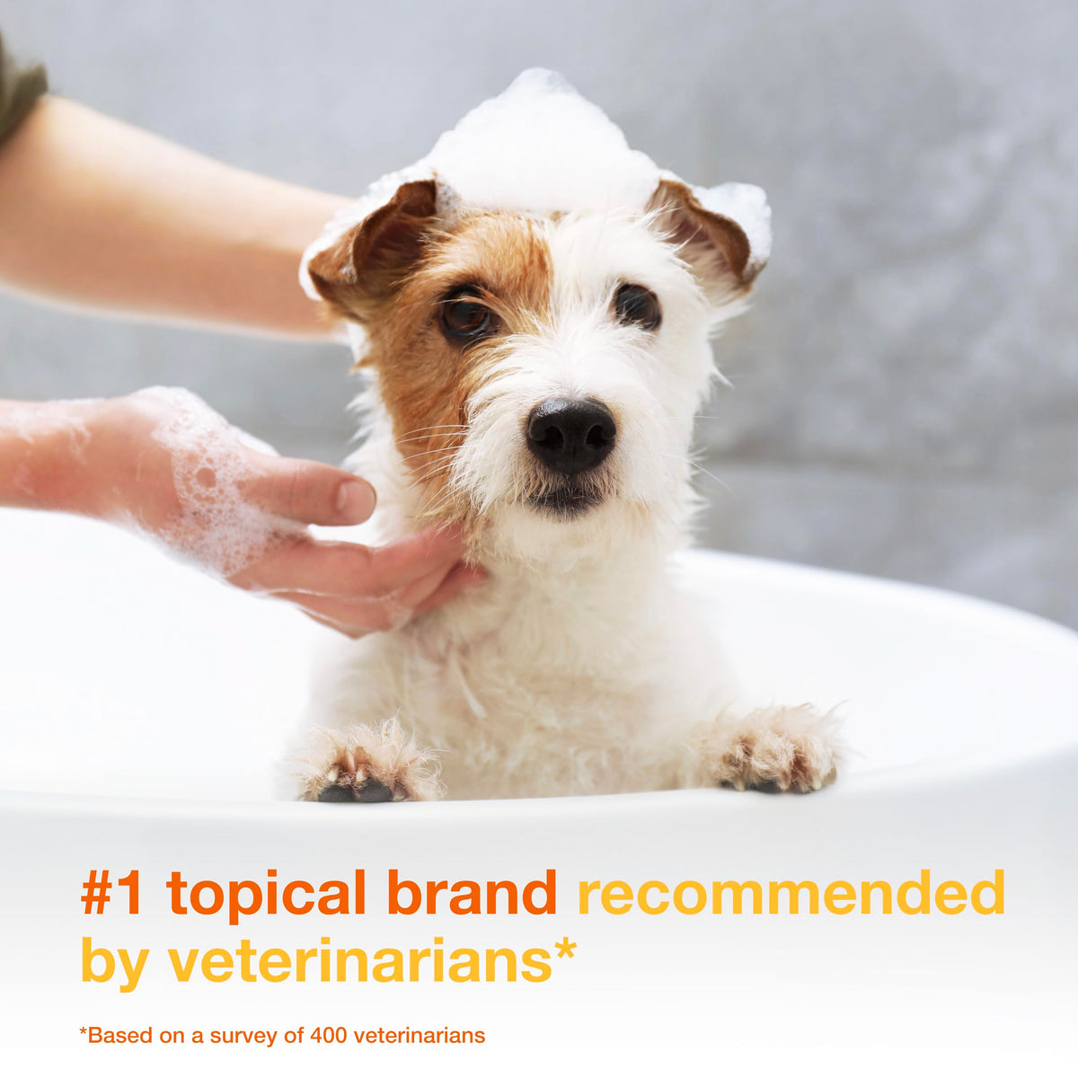 Medicated Dog Shampoo with 3% Chlorhexidine 6.7 fl oz X47749