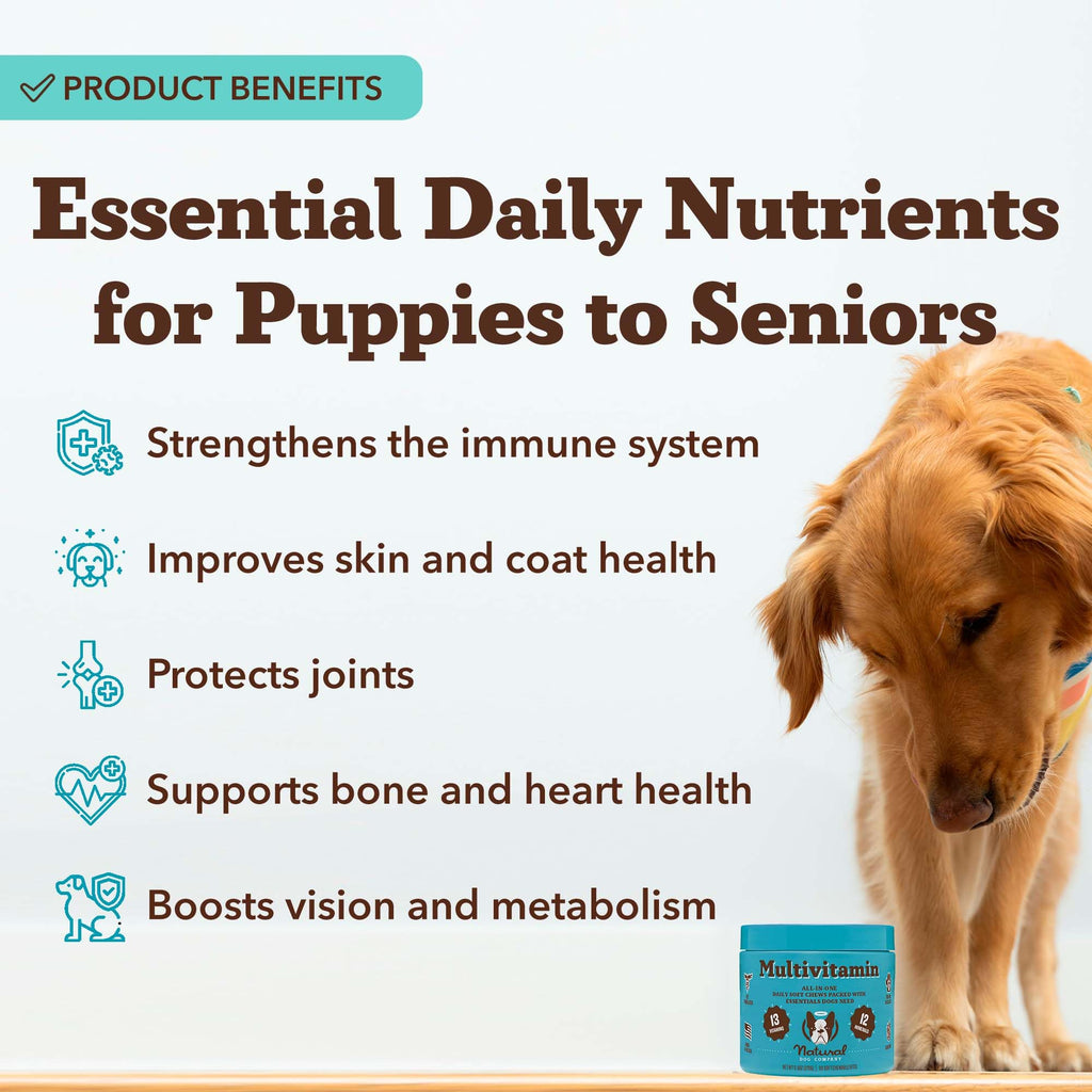25-in-1 Multivitamin for Dogs 180 Count X11051