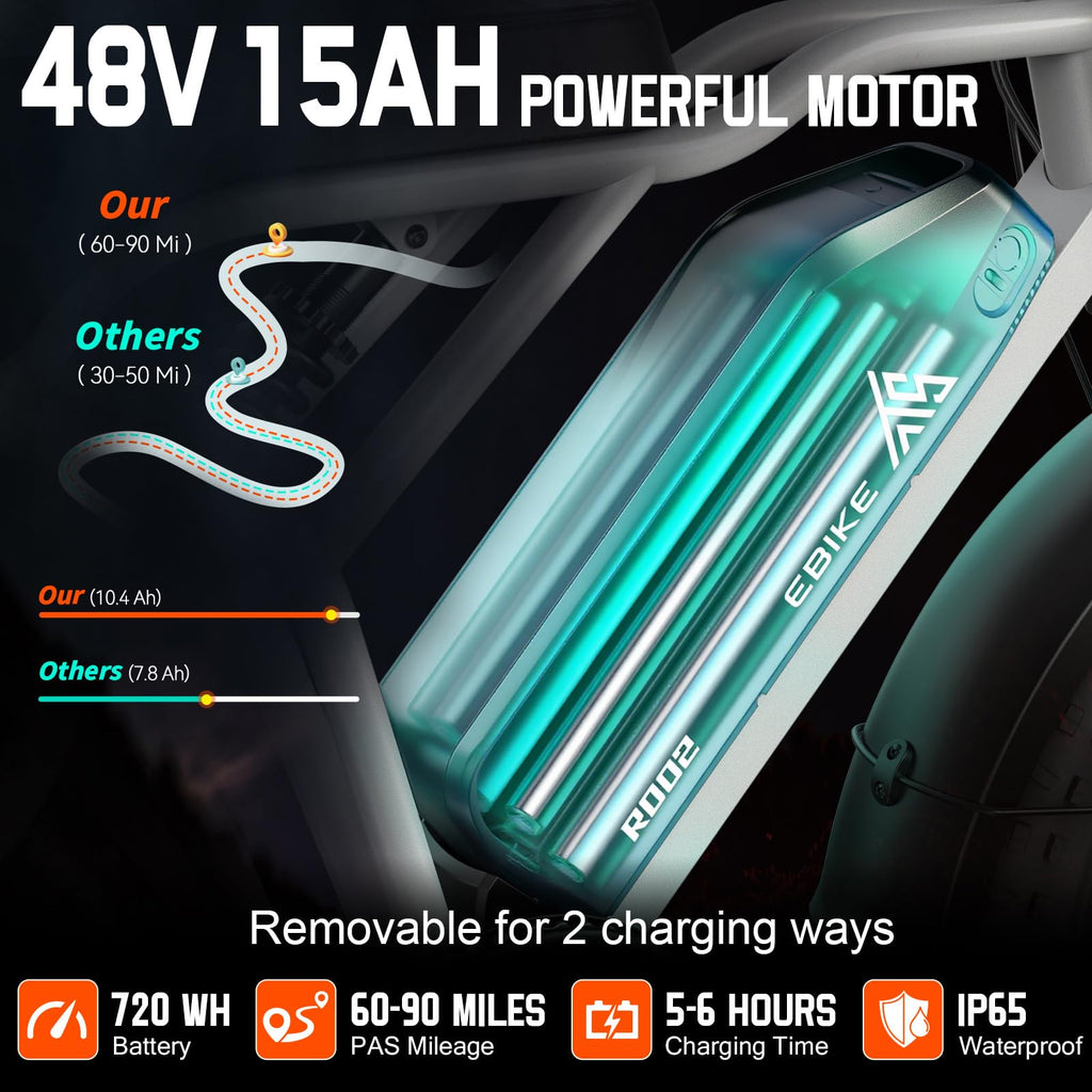 48V 15/25Ah Battery 2000W Peak Motor Electric Bike Y269