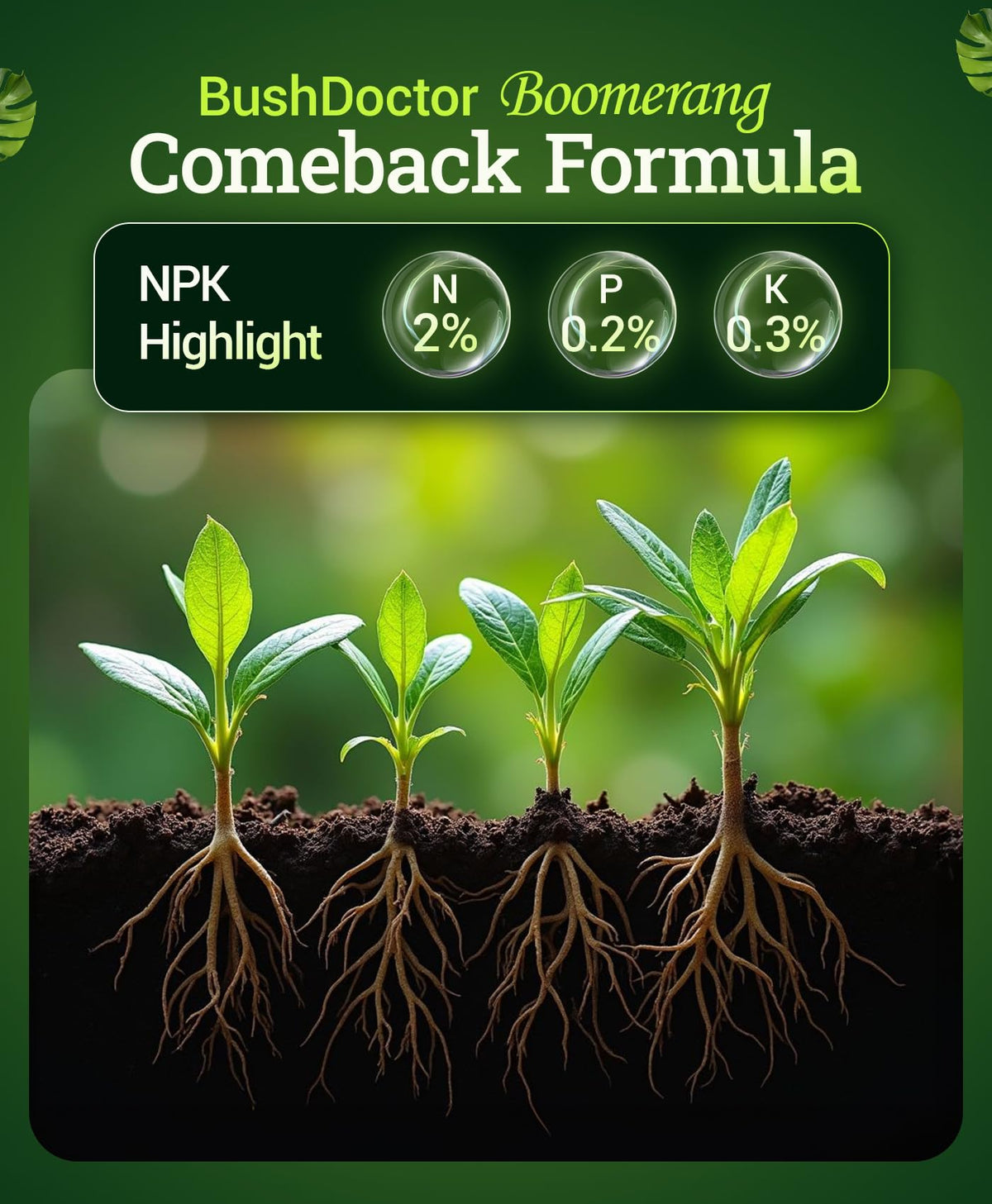 Liquid Plant Fertilizer 1 Pint Y8084