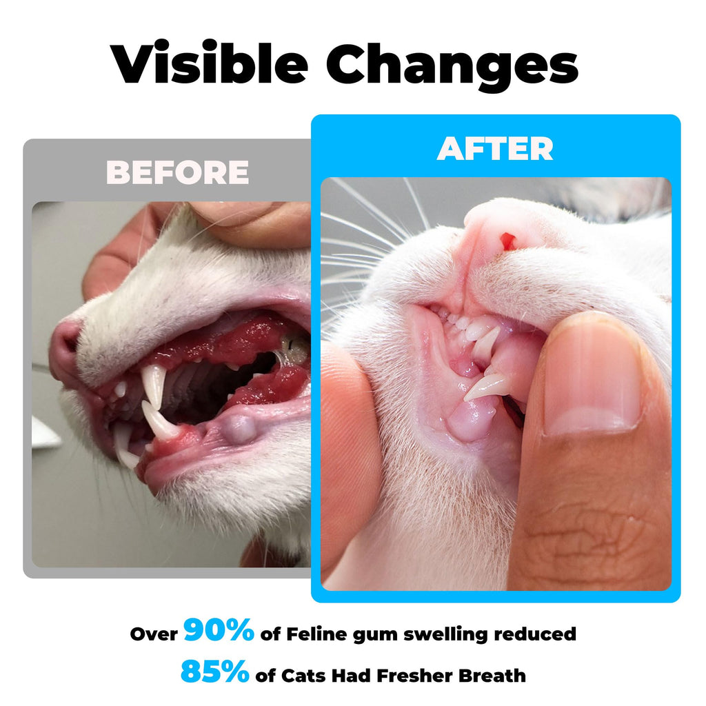 Chicken Flavor Cat Dental Care Powder 2.11 oz G8538