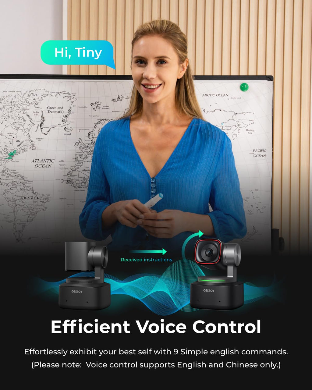 4K PTZ Webcam with Voice Control E87276