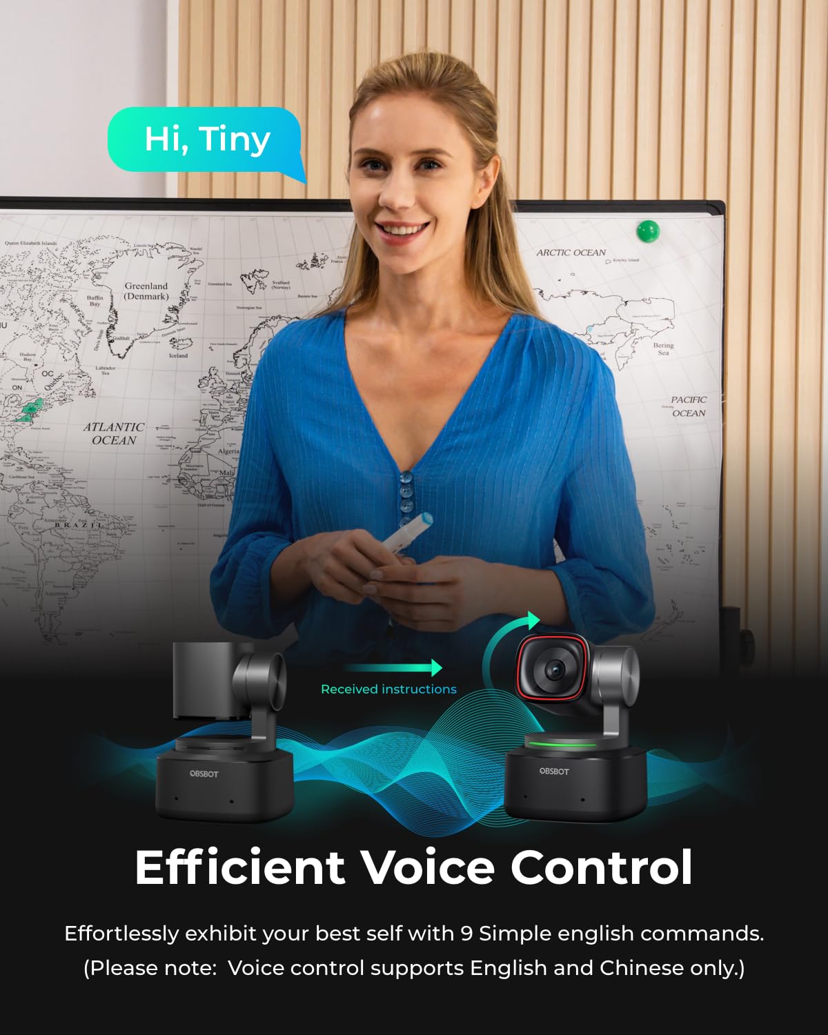 4K PTZ Webcam with Voice Control E87276