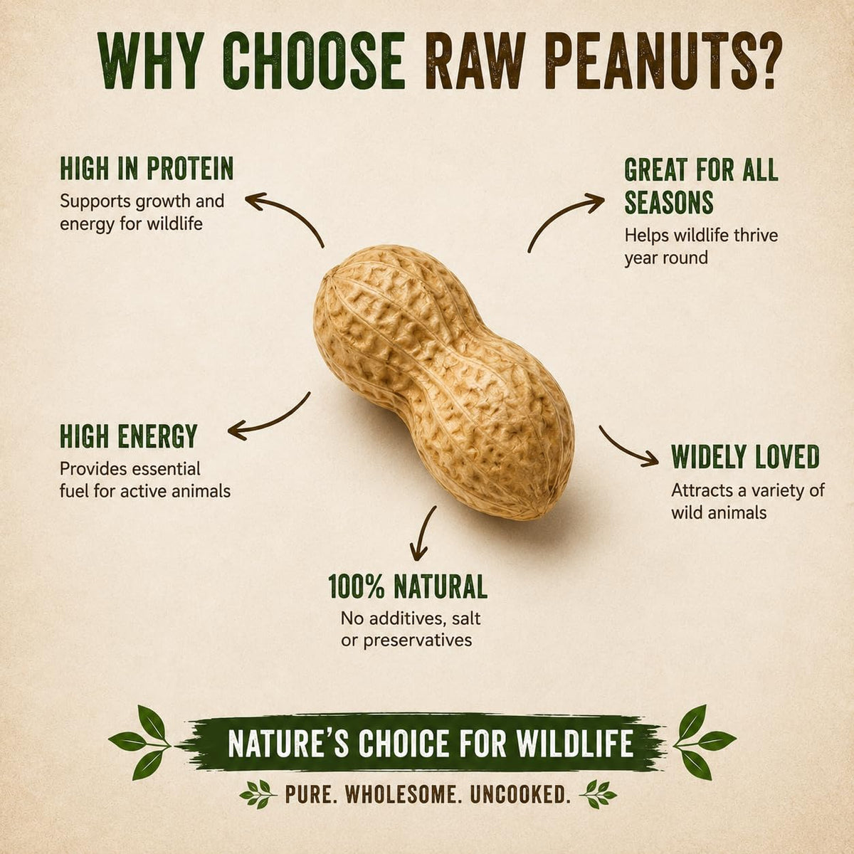 Unsalted Raw Peanuts in Shell 5 LB H3480