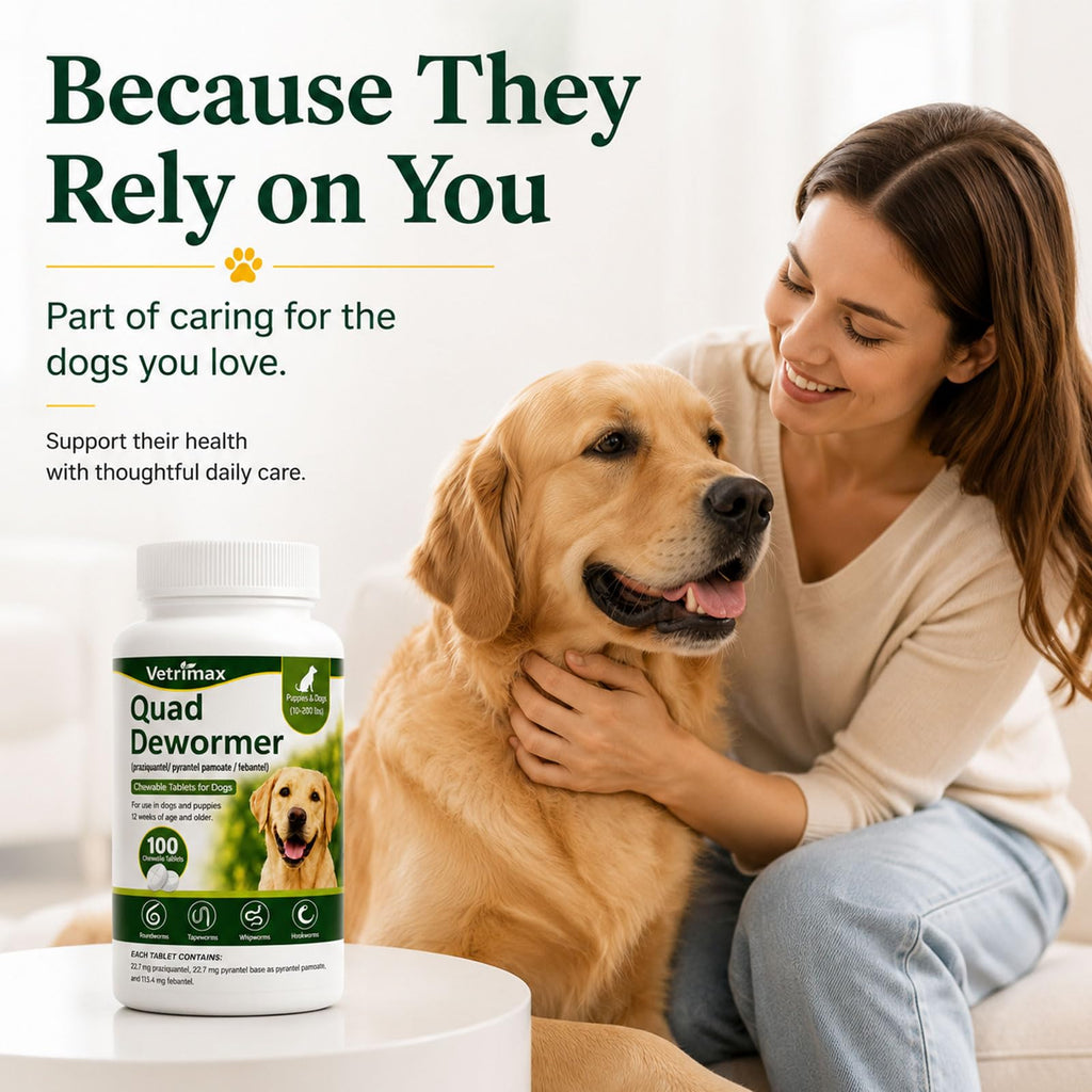 Dewormer for Dogs, 4-Way Wormer, 100 Count D572