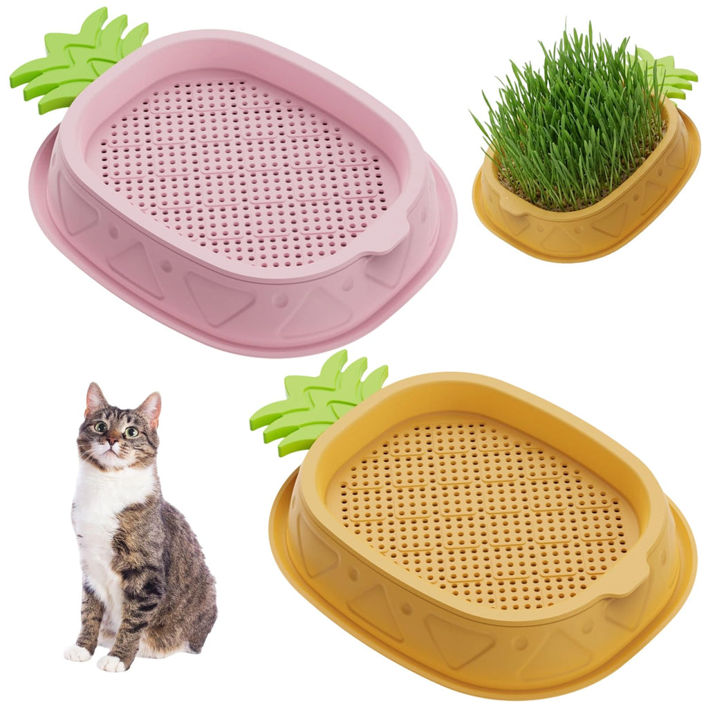 2 Pack Hydroponic Cat Grass Planter C311270
