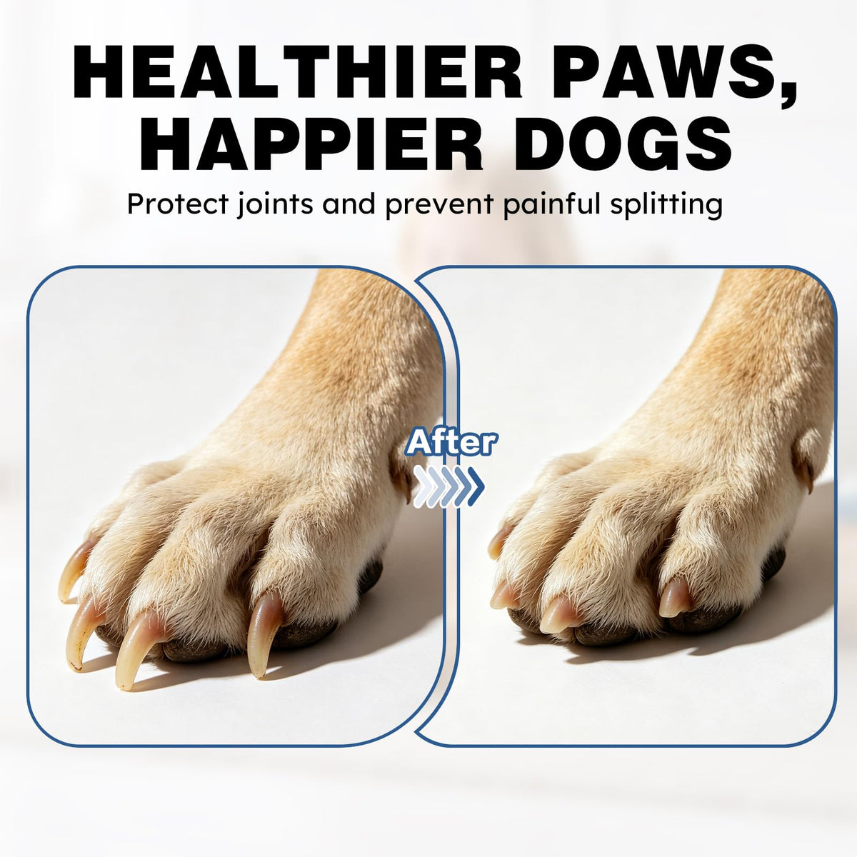 5-Speed Dog Nail Grinder with 2 LED Lights J1247