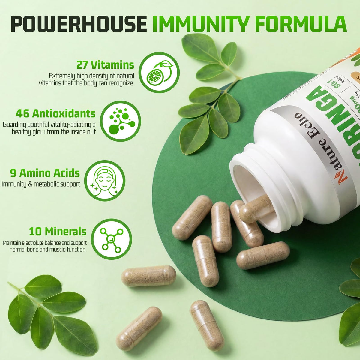 Moringa Capsules 1000mg 60 Count Z4953