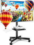 Height Adjustable Rolling TV Stand X6131