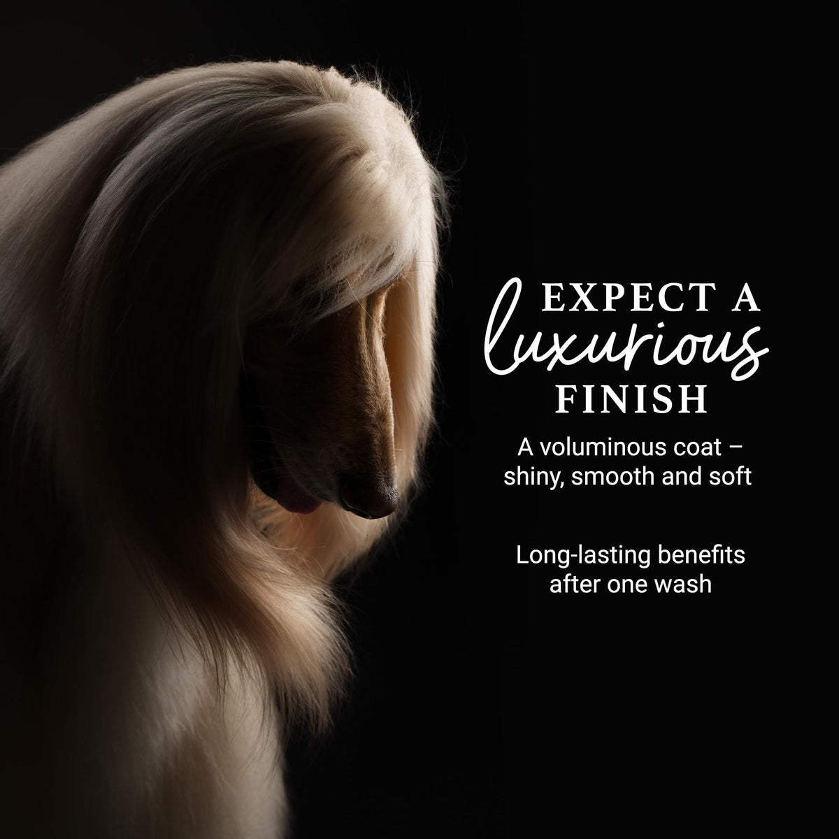 Deshedding & Detangling Dog Shampoo 1 GAL P8272