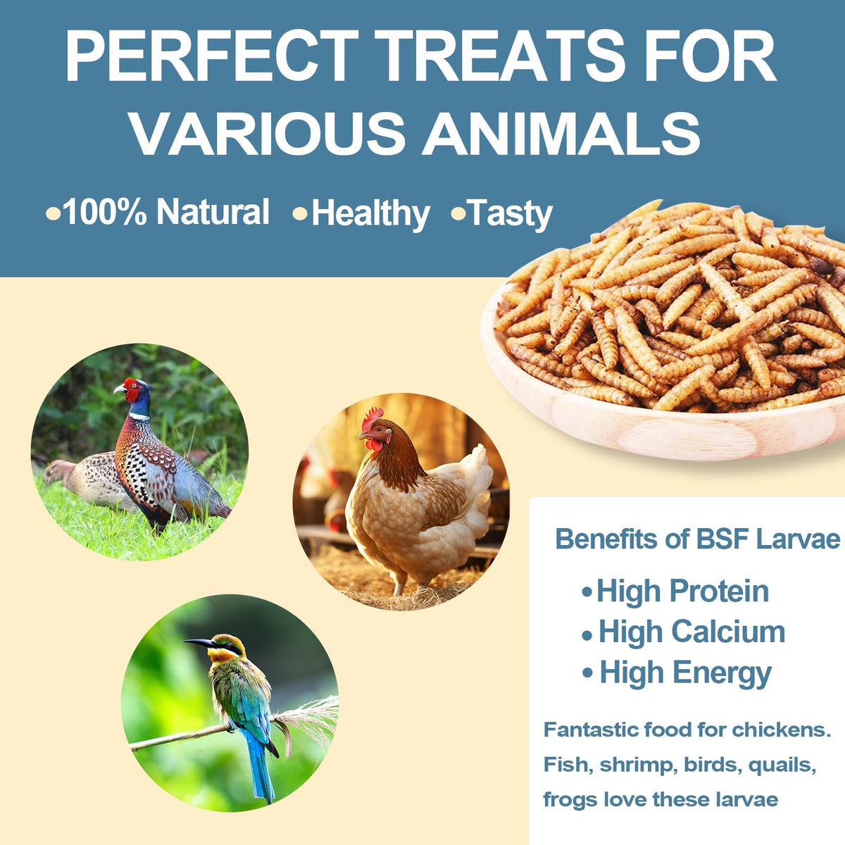 Black Soldier Fly Larvae Chicken Feed 20LB N1850