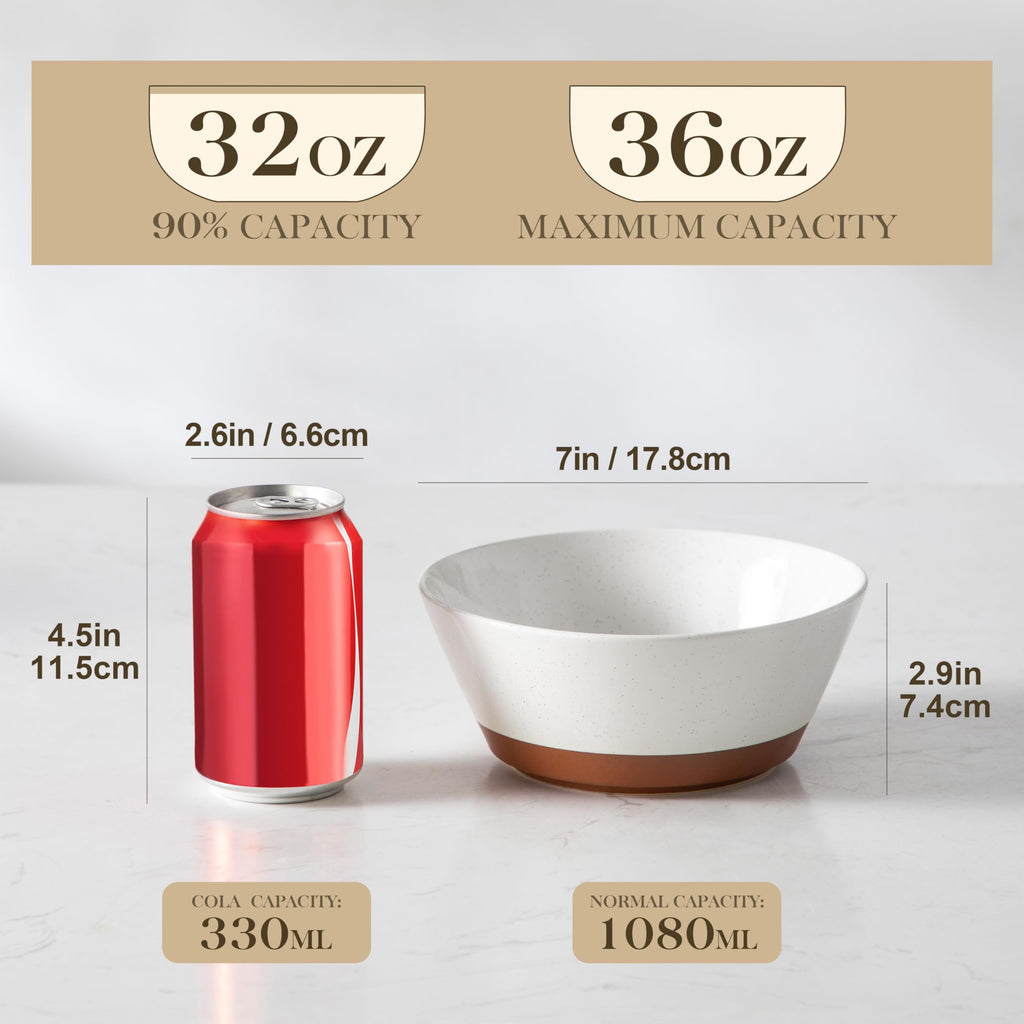 Ceramic Soup Bowl Set of 4 and Baking Dish R98635