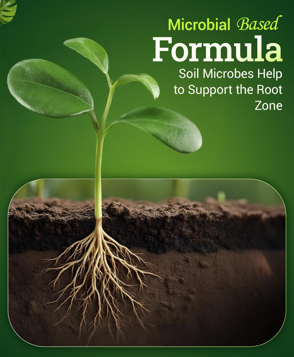 Liquid Plant Fertilizer 1 Pint Y8084