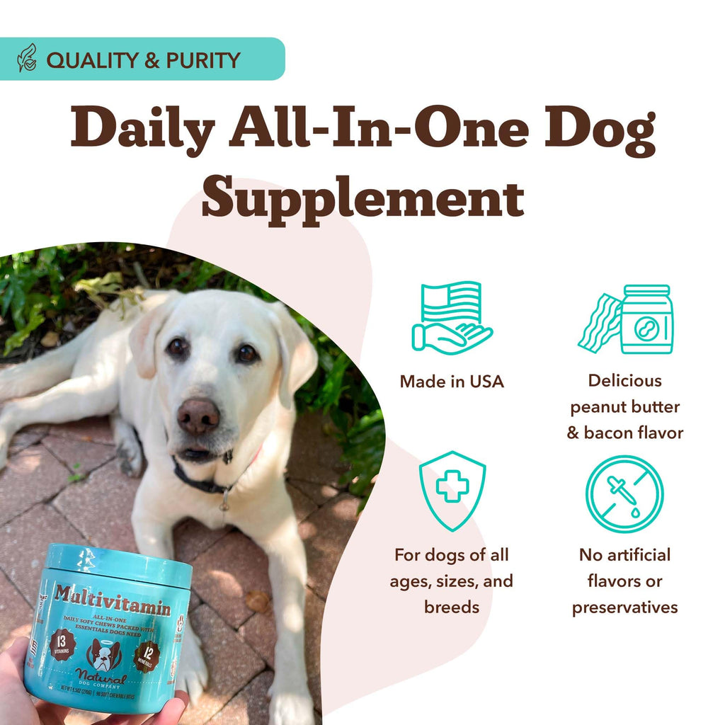 25-in-1 Multivitamin for Dogs 180 Count X11051