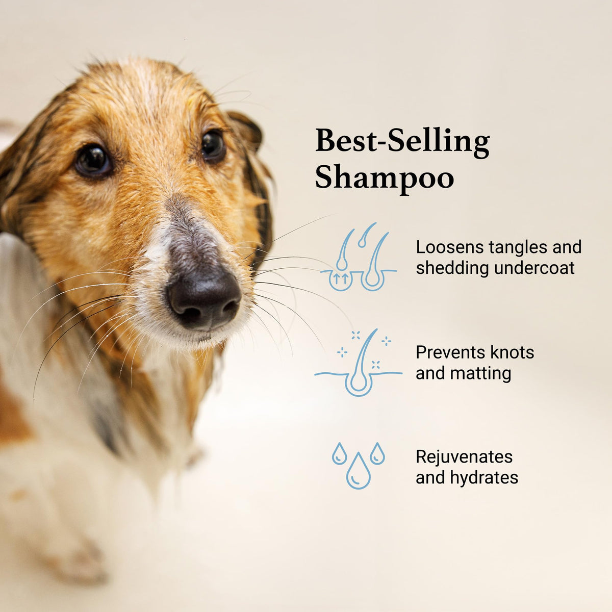 Deshedding & Detangling Dog Shampoo 1 GAL P8272