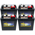 6V 220Ah Deep-Cycle Battery Set of 4 V530745