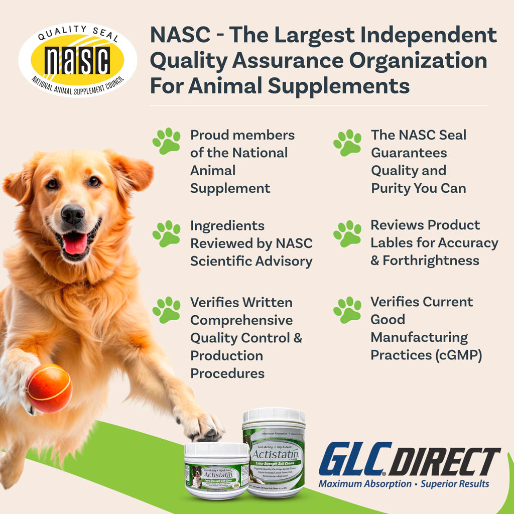 Large Dog Soft Chews, 120ct Joint Supplement F8302