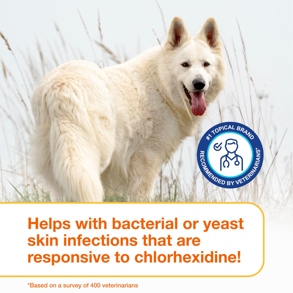 Medicated Dog Shampoo with 3% Chlorhexidine 6.7 fl oz X47749