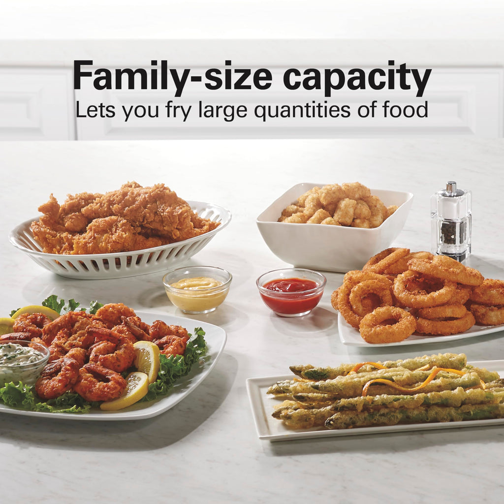 3 Liter Electric Deep Fryer With Basket H5310