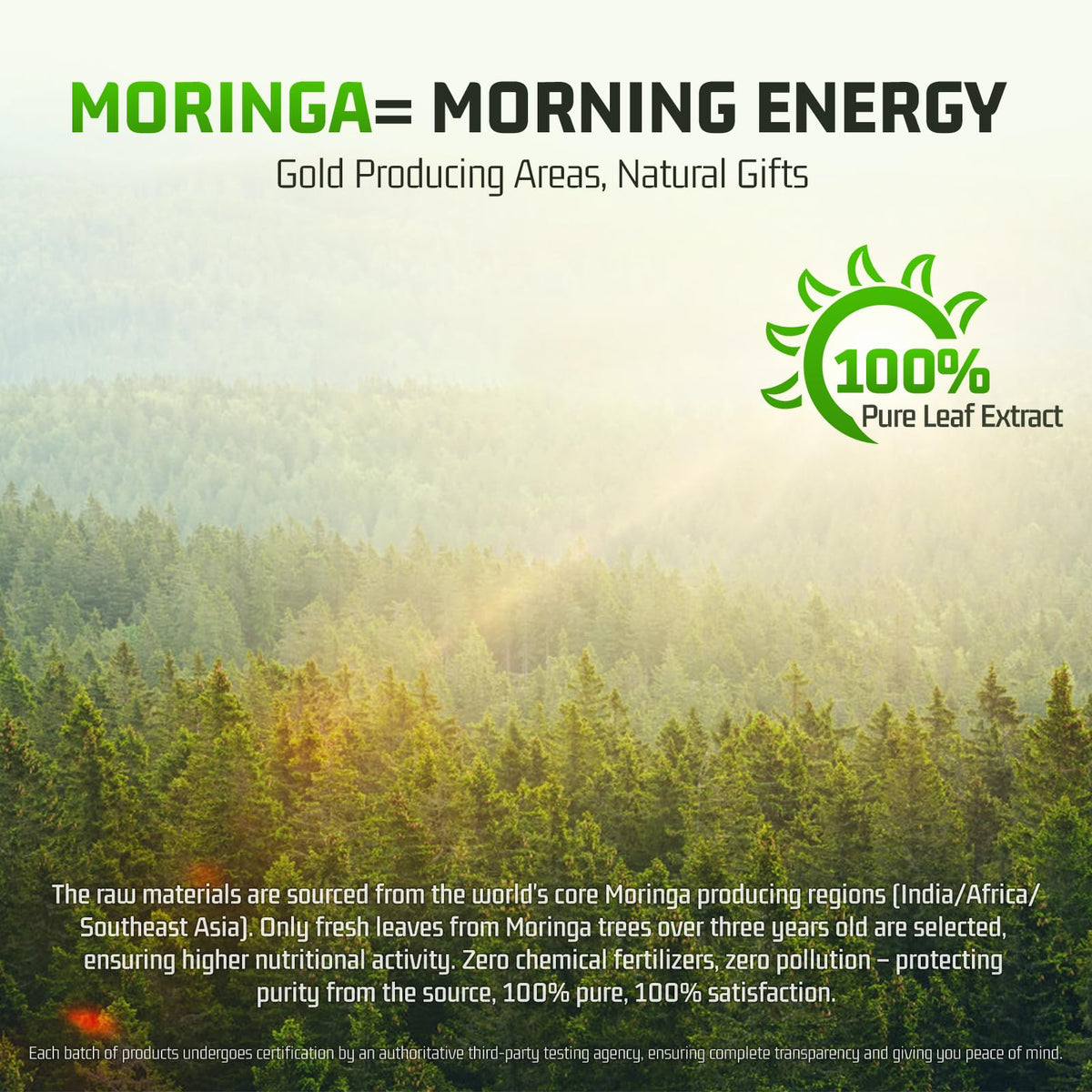 Moringa Capsules 1000mg 60 Count Z4953
