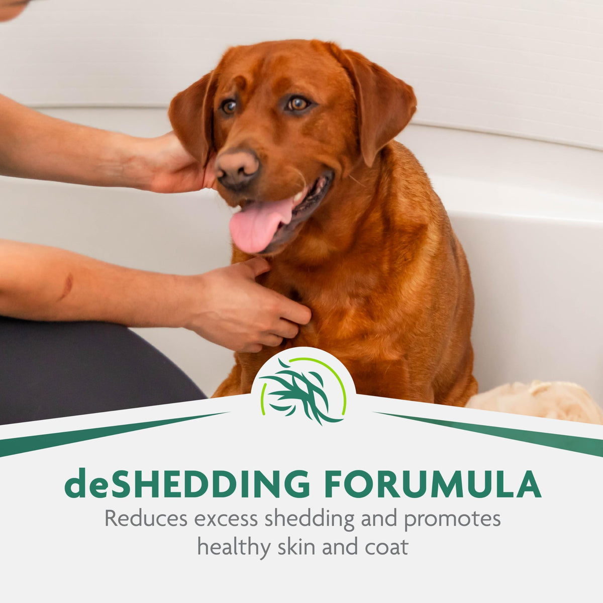 16 oz Dog deShedding Shampoo P230335