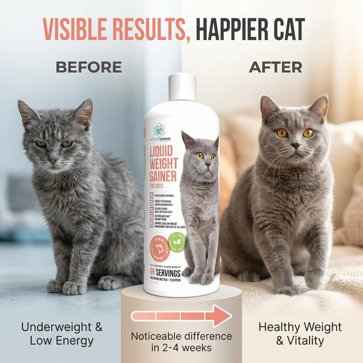 High Calorie Cat Weight Gainer Supplement Salmon Flavor 16oz F32600