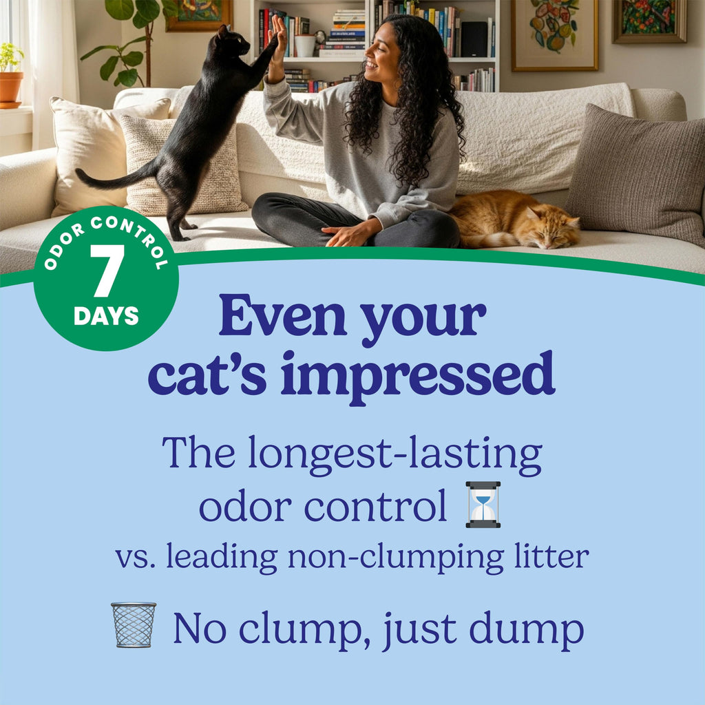 Non-Clumping Cat Litter with Odor Control, 14 lb. Bag S102