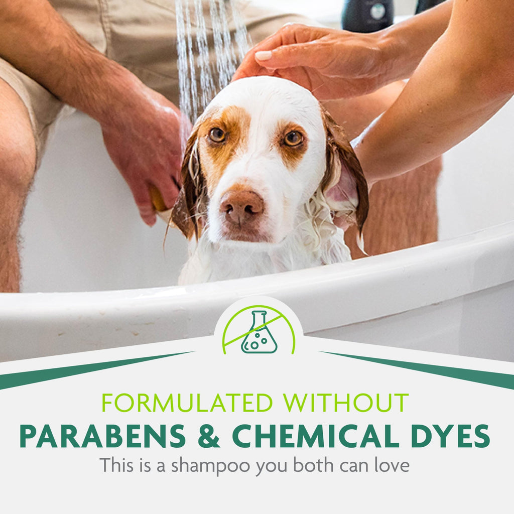 16 oz Dog deShedding Shampoo P230335
