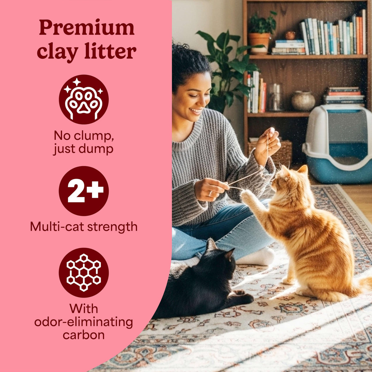 Non-Clumping Cat Litter with Odor Control, 14 lb. Bag S102