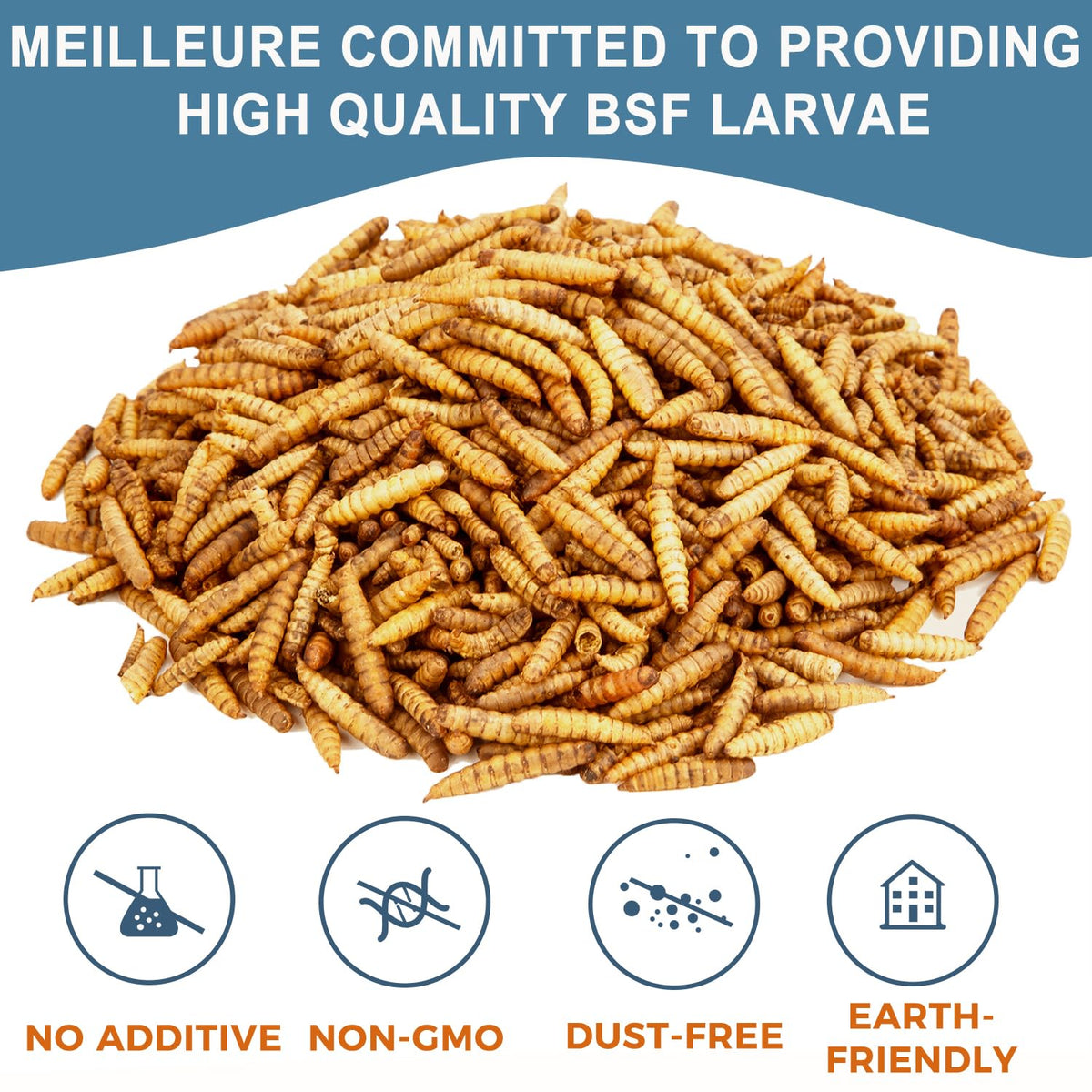 Black Soldier Fly Larvae Chicken Feed 20LB N1850