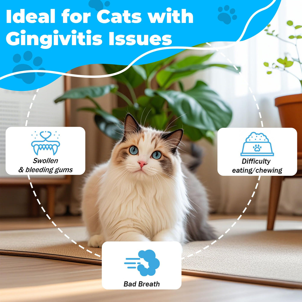 Chicken Flavor Cat Dental Care Powder 2.11 oz G8538