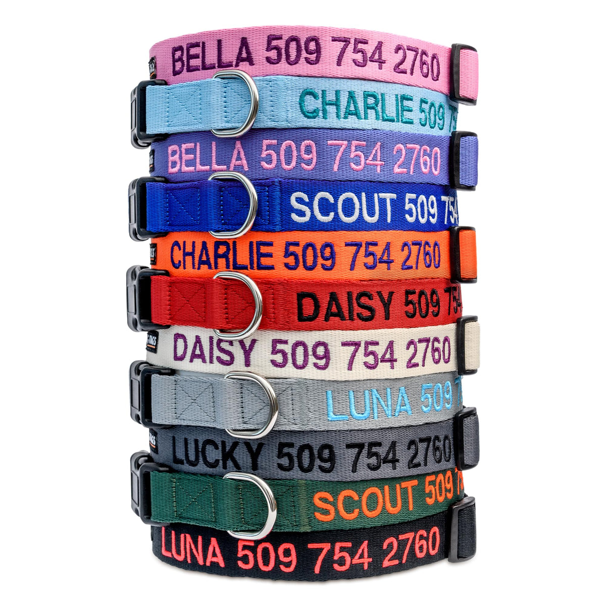 Personalized Dog Collar with Pet Name and Phone Number J1768