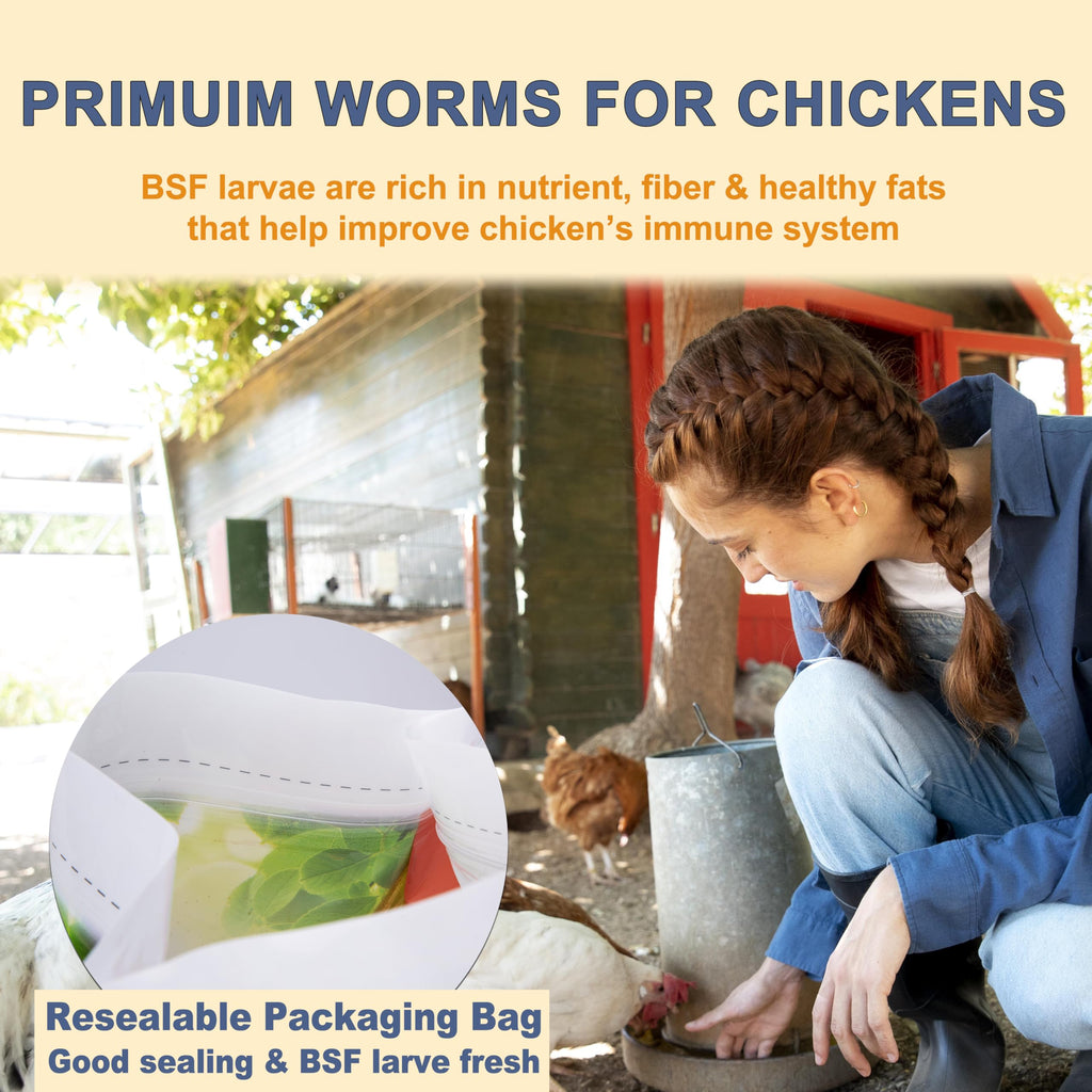 Black Soldier Fly Larvae Chicken Feed 20LB N1850