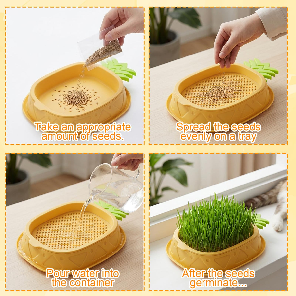 2 Pack Hydroponic Cat Grass Planter C311270