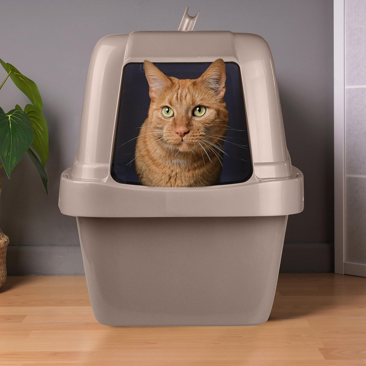 Large Enclosed Sifting Cat Pan with Odor Door, Hooded, Beige D388