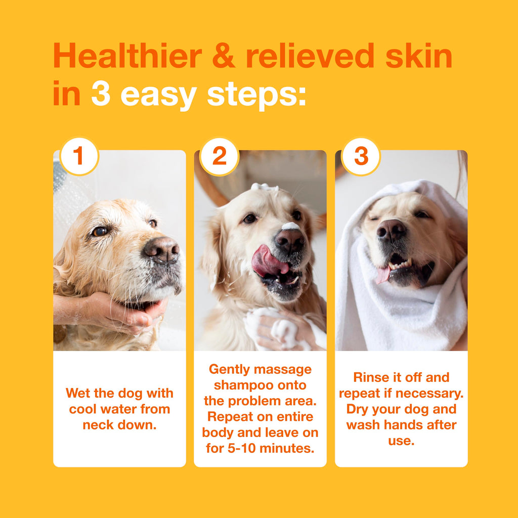 Medicated Dog Shampoo with 3% Chlorhexidine 6.7 fl oz X47749