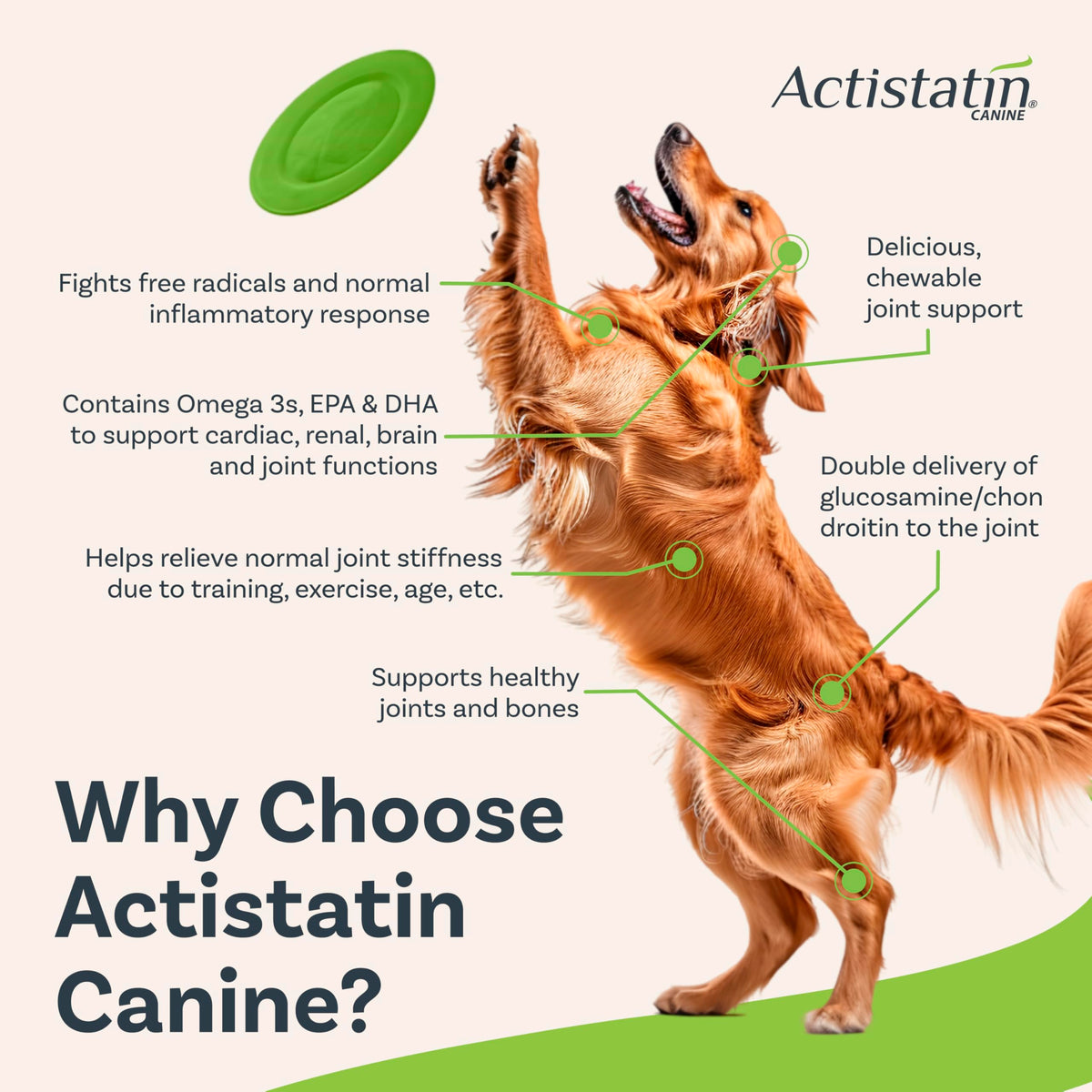 Large Dog Soft Chews, 120ct Joint Supplement F8302