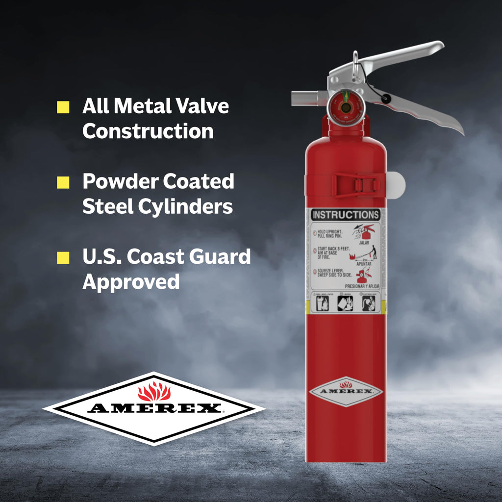 2.5 Pound ABC Dry Chemical Fire Extinguisher with Wall Bracket O561484