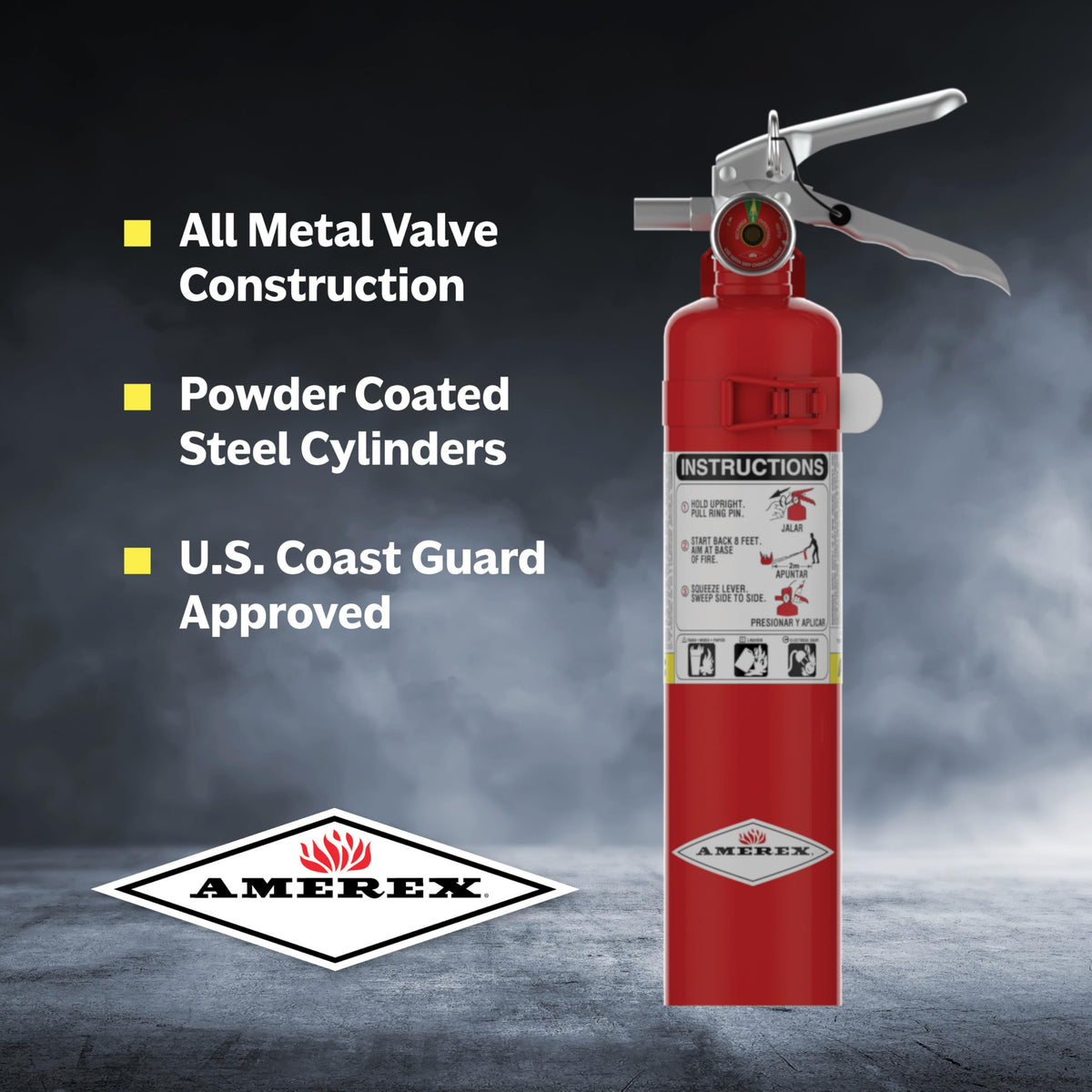 2.5 Pound ABC Dry Chemical Fire Extinguisher with Wall Bracket O561484