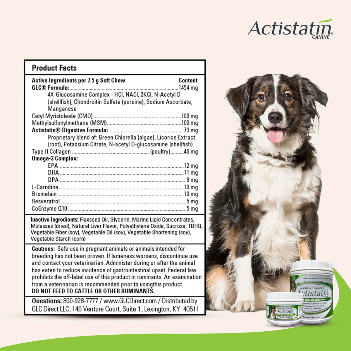 Large Dog Soft Chews, 120ct Joint Supplement F8302