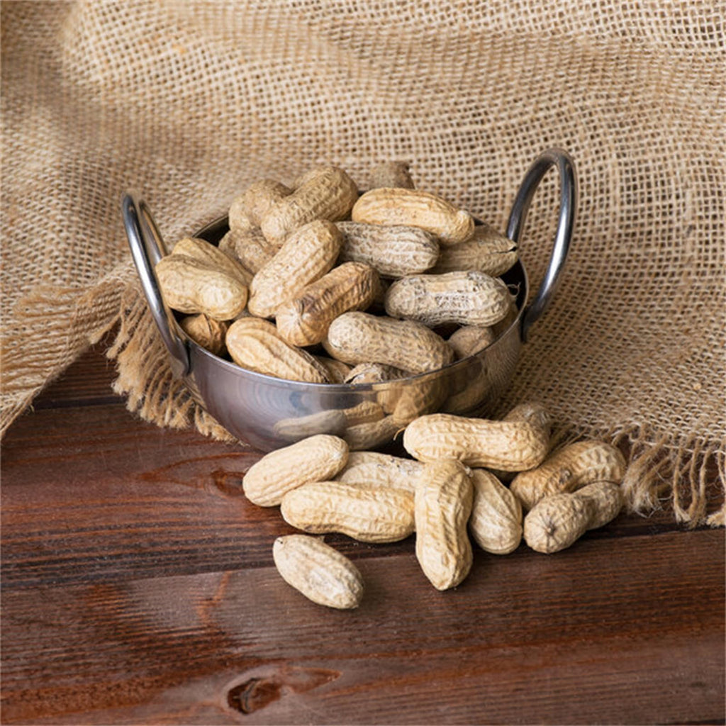 Roasted Unsalted in-Shell Peanuts 25 lb T378124