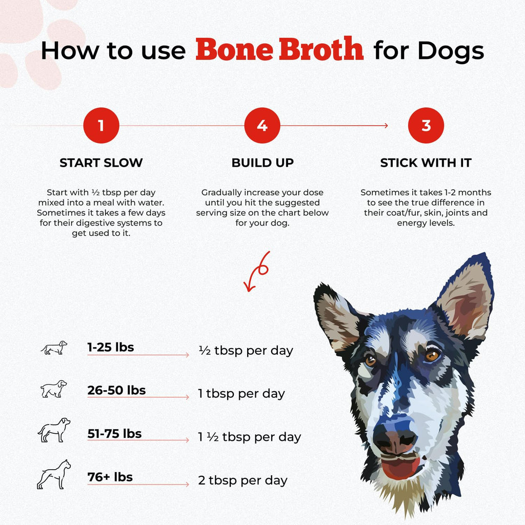 Beef Bone Broth Powder P276721