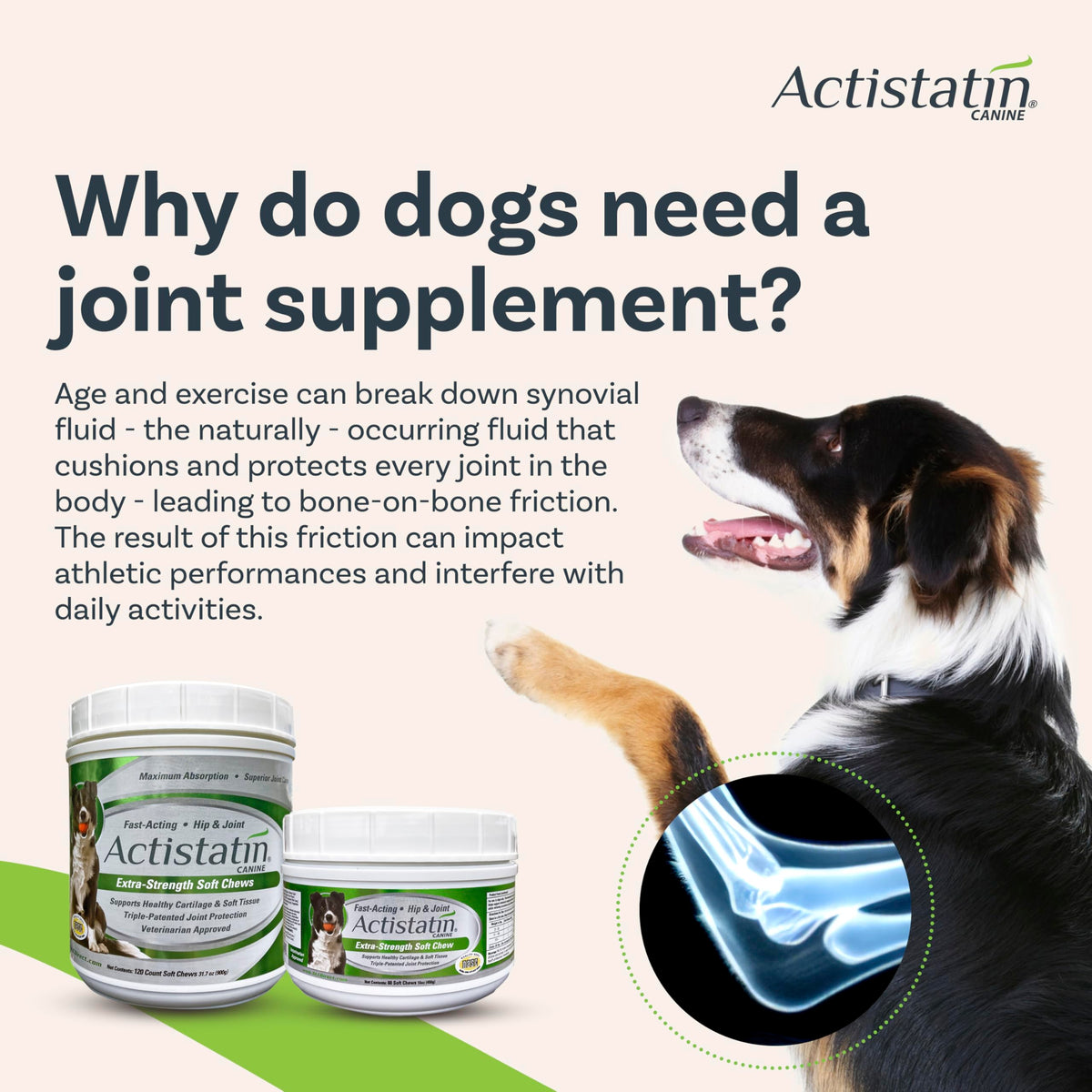 Large Dog Soft Chews, 120ct Joint Supplement F8302