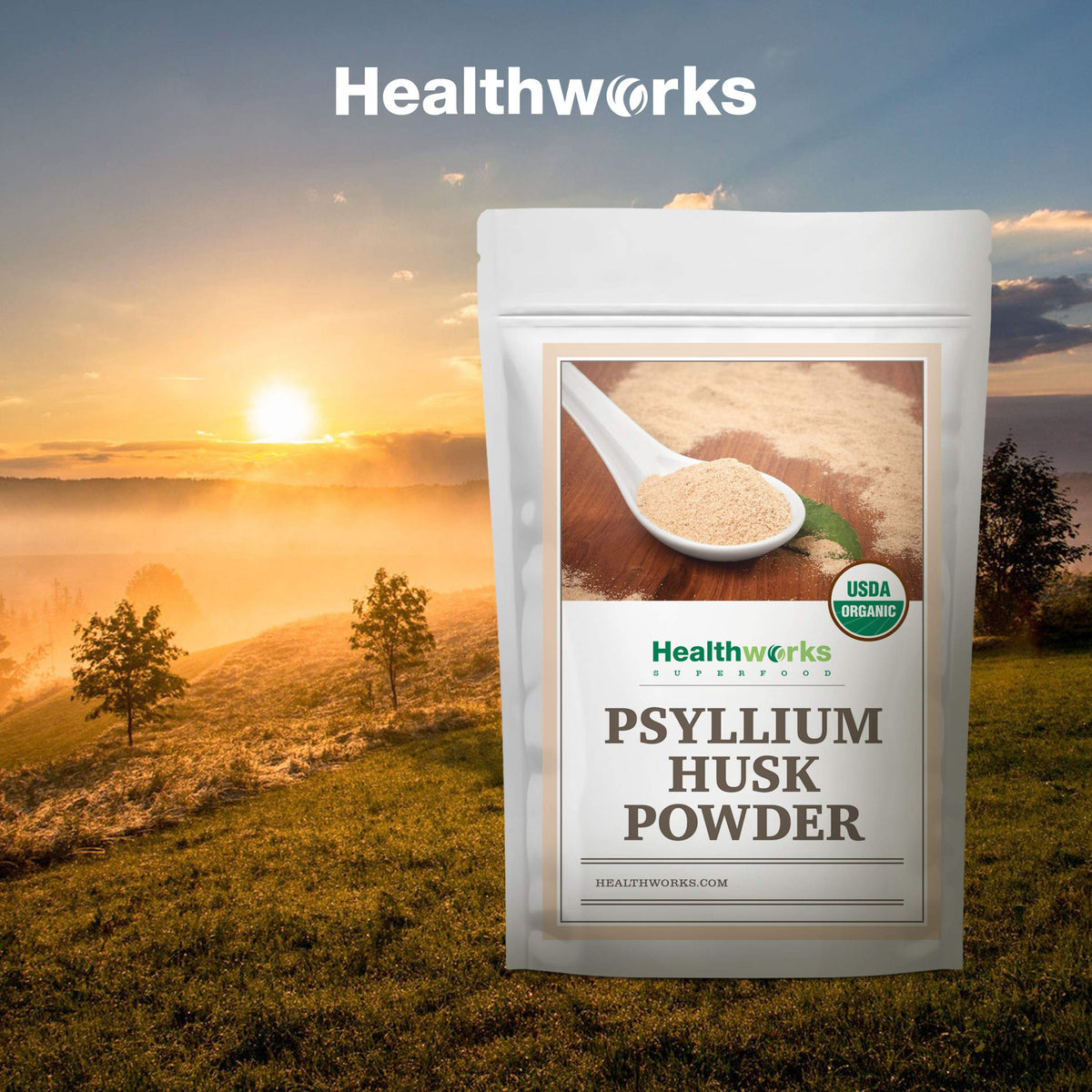 Organic Psyllium Husk Powder 2 lb Q230