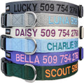 Personalized Dog Collar with Pet Name and Phone Number J1768