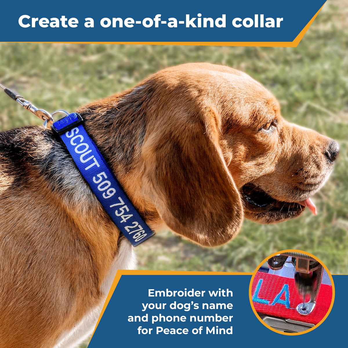 Personalized Dog Collar with Pet Name and Phone Number J1768